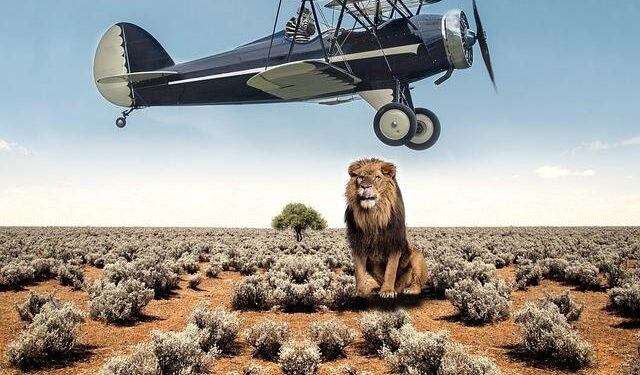 Open Cosmos Achieves Milestone with Spectrum Filings for Game-Changing LEO Broadband Constellation!