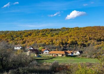 Latvia’s Exit from the Istanbul Convention: A Setback for Women’s and Girls’ Rights