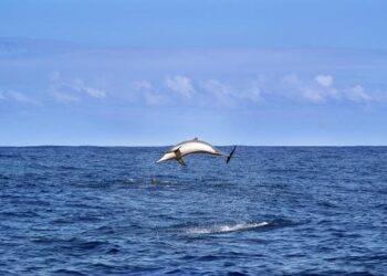 Heartwarming Reunions: Cherishing Connections and Lasting Memories