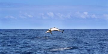 Heartwarming Reunions: Cherishing Connections and Lasting Memories