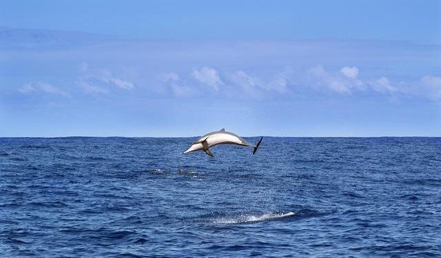 Heartwarming Reunions: Cherishing Connections and Lasting Memories