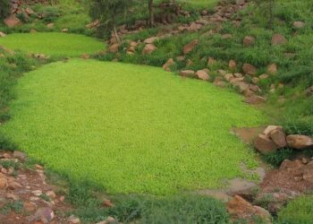 Mali’s Bold Move: Jeune Afrique Banned Amidst Jihadist Fuel and Security Controversy