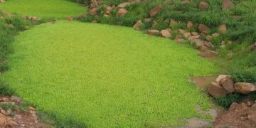 Mali’s Bold Move: Jeune Afrique Banned Amidst Jihadist Fuel and Security Controversy