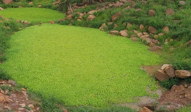 Mali’s Bold Move: Jeune Afrique Banned Amidst Jihadist Fuel and Security Controversy