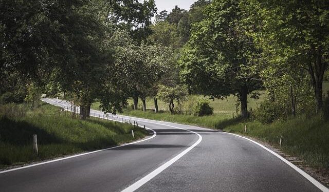 Thrilling Triumph: WRS and Antonio Pican Earn Wildcards for Selectia Nationala 2026!