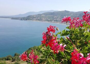 Thriving Through Adversity: L’Oréal’s Remarkable Year of Success in North Asia’s Travel Retail Landscape