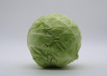 Discover the True Monthly Cost of Living in America’s Top 4 Winter Wonderland Cities!