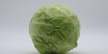 Discover the True Monthly Cost of Living in America’s Top 4 Winter Wonderland Cities!