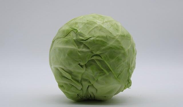 Discover the True Monthly Cost of Living in America’s Top 4 Winter Wonderland Cities!