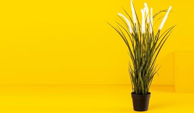 Albanian PM Rama’s Inspiring Pre-Independence Day Meeting with Kosovo Leaders Kurti and Osmani