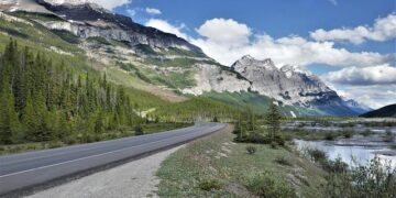 France Takes a Stand: Crinon Suspended for Controversial Clash with Canada’s Wilson