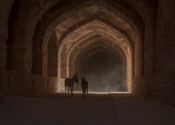 Is Iran’s Axis of Resistance Turning Its Attention to Tunisia?