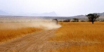 Namibian Tycoon Quinton van Rooyen Secures $25 Million to Boost Sierra Leone’s Diamond Industry!