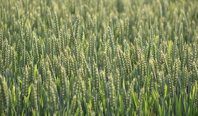 Unveiling Malawi’s Sustainable Tourism Revolution: A Glimpse into 2026