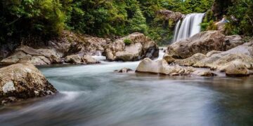 WHO Sounds Alarm on Ethical Issues in CDC-Funded Vaccine Research in Africa