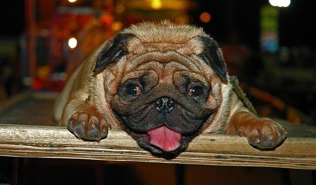 Unseen Dangers: Gambia’s Anti-FGM Activists Sound Alarm on Continued Risks to Infants