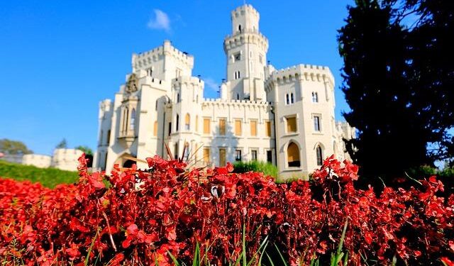 Central African Republic Votes: Touadera Seeks Historic Third Presidential Term!