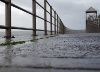 Forging Stronger Bonds: Albanese and Marape Unite for a New Defence Treaty with Our Nearest Neighbour