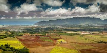 Heartbreaking Incident: 3-Year-Old Girl Tragically Killed by SUV in Parking Lot