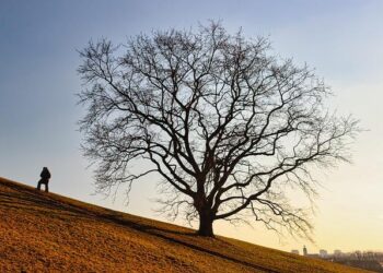 Sweden’s Women’s Curling Team Strikes Gold Again, Solidifying Their Legacy!