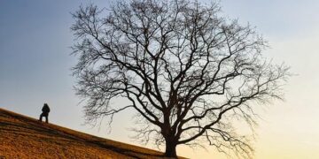 Sweden’s Women’s Curling Team Strikes Gold Again, Solidifying Their Legacy!
