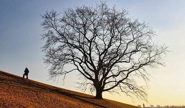 Sweden’s Women’s Curling Team Strikes Gold Again, Solidifying Their Legacy!