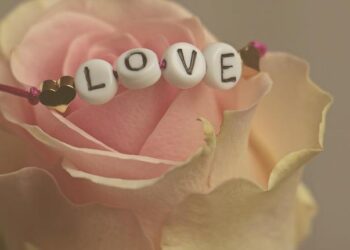 Spread the Love: Heartwarming Valentine’s Day Grams to Treasure!