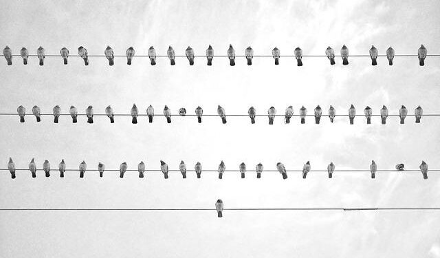 Netanyahu Unveils Bold Vision for a Unified Front Against Radical Extremism