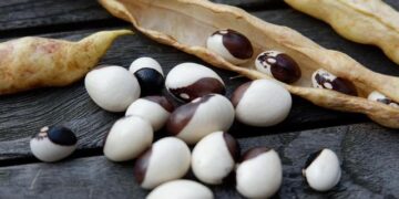 Unraveling the Bosnian War: A Deep Dive into Its Key Players, Heartbreaking Impact, and Unforgivable Atrocities