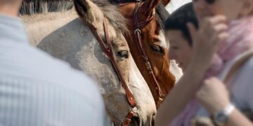 Unleash Your Creativity: Join the 2025 Oceania Photo Contest Now!