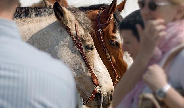 Unleash Your Creativity: Join the 2025 Oceania Photo Contest Now!