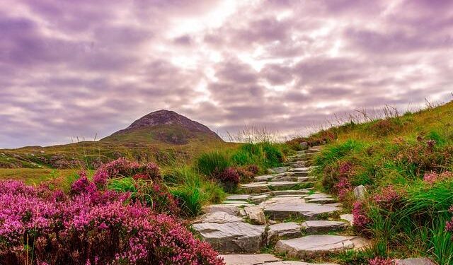 Shaping Ireland’s Energy Future: A Deep Dive into Empowerment and Innovation