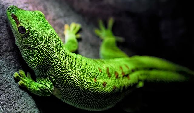 Madagascar in Crisis: The Human Toll of Tropical Cyclone Fytia