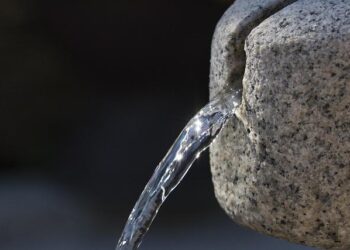 Discovering Joy: Key Insights into the Happiness of Single Individuals