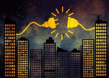 IAEA Director General Speaks Out on Critical Developments in Ukraine