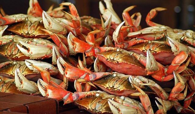 San Marino’s Quest for Glory: Will They Reach the 2026 World Cup?