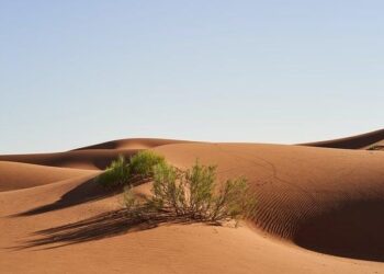 Unlocking the Future of Western Sahara: Key Insights and Perspectives