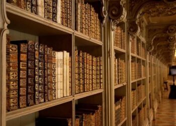 Stunning Discovery: Rare Portuguese Man O’ War Washes Ashore in Malta!