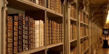 Stunning Discovery: Rare Portuguese Man O’ War Washes Ashore in Malta!