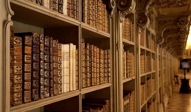 Stunning Discovery: Rare Portuguese Man O’ War Washes Ashore in Malta!