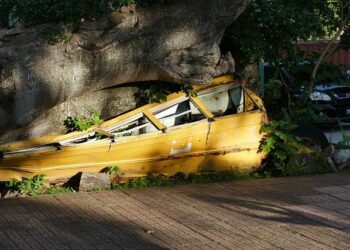Unleashing Fury: Tropical Cyclone Gezani Devastates Eastern Madagascar