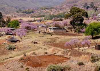 Unveiling Hope: 10 Inspiring Journeys of Treatment Supporters and Patients in Lesotho