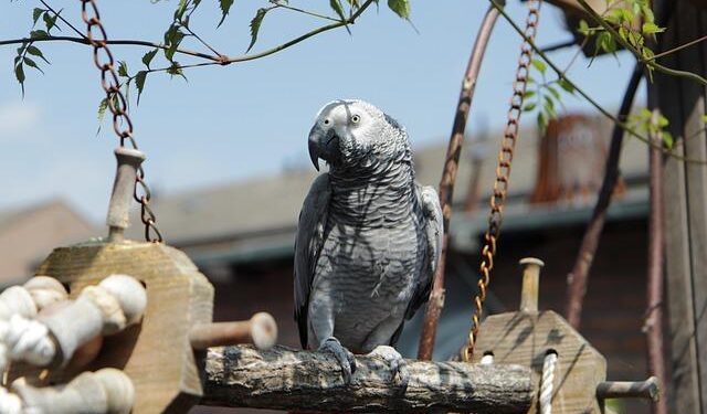 Devastating Landslide Claims Over 200 Lives in DR Congo Mine