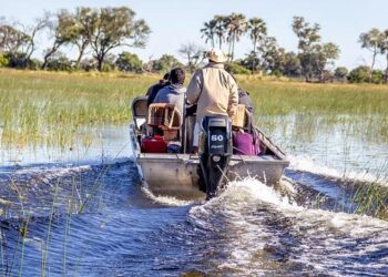 Unforgettable Adventures Await: Your Ultimate Guide to Safe Travel in Botswana!