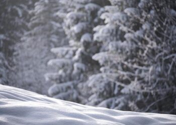 How the US-Iran Tensions are Disrupting New Zealand’s Global Supply Chains