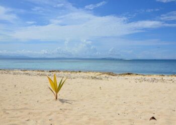 Unforgettable Adventures Await: Your Ultimate Guide to Safe Travel in Fiji!