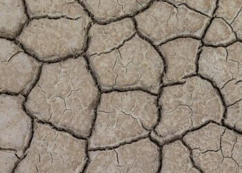 Latvia Prepares for a Stretch of Sunny Skies and Warm Temperatures!