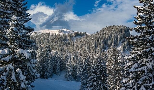 Breaking News: Major Developments Unfold in Sudan’s Kordofan Region!