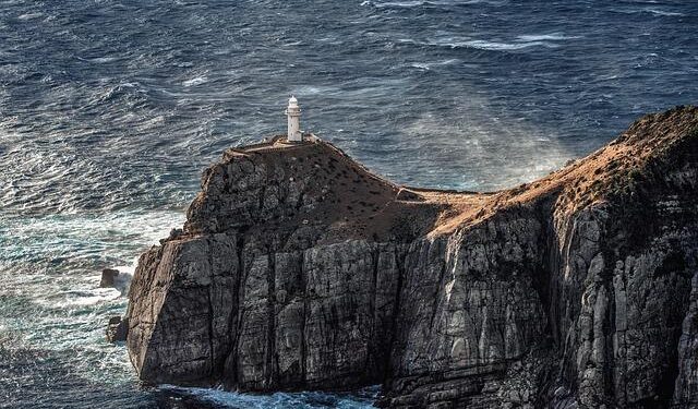 Epic Showdown: China Takes on Mali in a High-Stakes Basketball Battle!