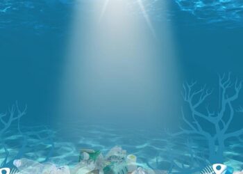 Revolutionizing Ocean Conservation: Cutting-Edge Strategies from New Caledonia to Samoa